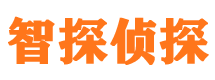 剑阁外遇调查取证